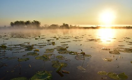 Natural ecosystems provide critical services for people as well as biodiversity, including regulating water quality